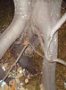 DSC01186