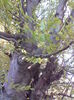 DSC01188