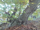 DSC01189