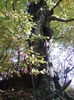 DSC01193