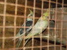 DSCF4027