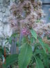 CIMG0077