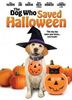 [Halloween-ul cateilor]