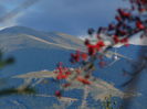 DSC00567