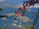 DSC00568