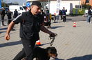 DSC00901