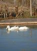 SAM_7968