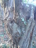 DSC01257