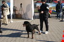 DSC01201