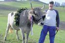 Dragostea pentru vaca de lapte