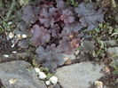 DSC08363