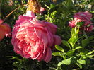 Jubilee Celebration