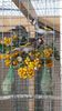 IMG-20151105-WA0001