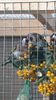 IMG-20151105-WA0004