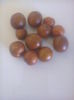 jujube coapte
