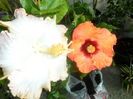 035