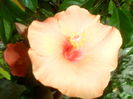 041