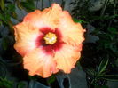 047
