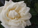 DSCF4412