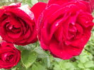 DSCF4419