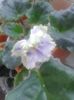 20151107_082032