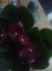 20151107_082429