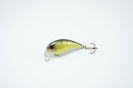5830 - 4cm - 4g