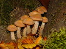 DSC01260