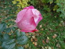 DSC00766