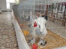 DSCN0056