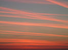 DSC01273