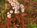 7 nov 059