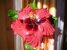 DSC01295