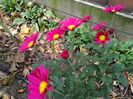 IMG_20151110_084545