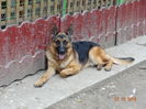 DSC04898