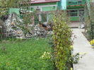 DSC05413