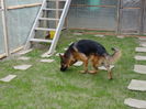 DSC05476