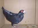 CIMG2500