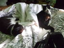 DSC05058
