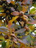 DSC00780