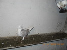 DSCN0178