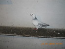 DSCN0188