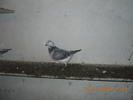 DSCN0189