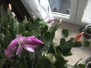 WIN_20151111_120445