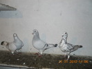 DSCN0195