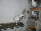 DSCN0197