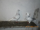 DSCN0198