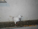 DSCN0200