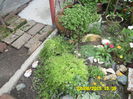 SAM_0363