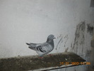 DSCN0206